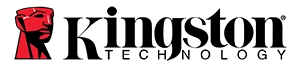 KIngston-Logo-300x65-1.webp